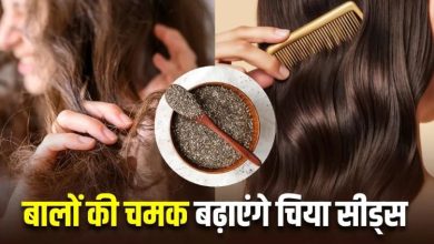 Photo of स्मूद और शाइनी हो जाएंगे झाड़ू जैसे बाल! अगर आपने सीख लिया चिया सीड्स का कैसे करना है इस्तेमाल!