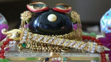 Photo of देवशयनी एकादशी पर क्यों होती है शालिग्राम जी की पूजा? 