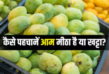 Photo of काटे बिना इन 3 तरीकों से पता लगाएं आम मीठा है या नहीं