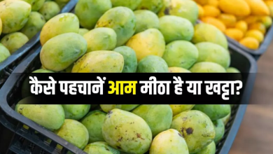 Photo of काटे बिना इन 3 तरीकों से पता लगाएं आम मीठा है या नहीं