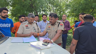 Photo of Haryana: ट्राले ने एक साथ कुचले 22 गोवंश, 15 की हुई मौत