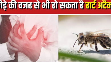 Photo of क्या किसी एलर्जी के कारण भी आ सकता है Heart Attack? आइए जानें क्या कहते हैं डॉक्टर