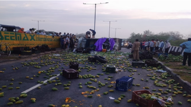 Photo of UP: आगरा में भीषण सड़क हादसा…आम ला रही मैक्स पलटी, चार की मौके पर मौत