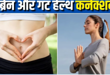 Photo of हेल्दी गट यानी हैप्पी माइंड! यहां समझें मेंटल हेल्थ और पेट के बीच कनेक्शन का पूरा साइंस