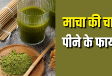 Photo of क्यों ‘Matcha Tea’ का हर कोई है दीवाना? इसके फायदे जान जाएंगे, तो आप भी हो जाएंगे फैन