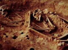 Photo of जमीन में दफ्न थे कंकाल, वैज्ञानिकों ने बाहर निकालकर किया DNA टेस्ट, हुआ चौंकाने वाला खुलासा!