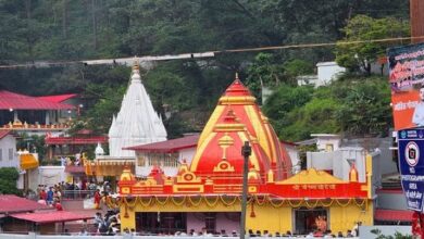 Photo of  बारिश के बीच बाबा के जयकारों से गुंजा कैंची धाम, उमड़ा आस्था का सैलाब