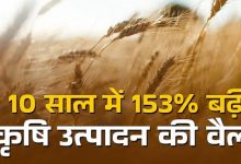 Photo of ये 5 राज्य करते हैं देश में आधे से अधिक अनाज का उत्पादन