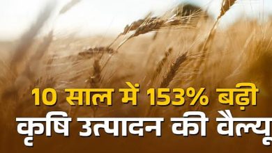 Photo of ये 5 राज्य करते हैं देश में आधे से अधिक अनाज का उत्पादन