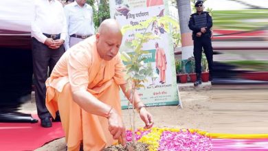 Photo of जिले-जिले जाकर पौधे लगाएंगे योगी के मंत्री, अयोध्या-आजमगढ़ में सीएम योगी…