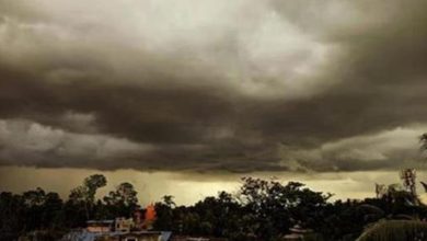 Photo of हरियाणा के 11 जिलों में बारिश का ऑरेंज अलर्ट