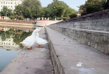 Photo of इंदौर: अन्नपूर्णा तालाब पर बनेगा सवा करोड़ का घाट