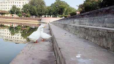 Photo of इंदौर: अन्नपूर्णा तालाब पर बनेगा सवा करोड़ का घाट