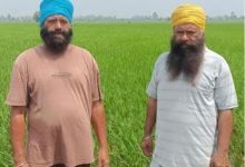 Photo of पंजाब के 2 किसान भाइयों ने कायम की मिसाल