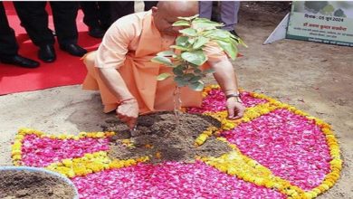 Photo of पौधरोपण महाभियान 2025; आज यूपी बनायेगा नया कीर्तिमान