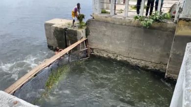 Photo of  पिछोला झील का जलस्तर 10 फीट पहुंचा, जल्द ओवरफ्लो होने की उम्मीद