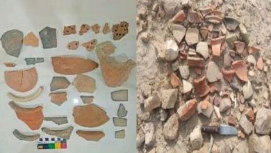 Photo of थार के टीलों में छिपा 4500 साल पुराना इतिहास, हड़प्पा सभ्यता के अवशेष मिले