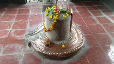 Photo of भोलेनाथ के ससुराल से लेकर पाताल तक, सीहोर में दिखा शिवभक्ति का अद्वितीय स्वरूप