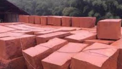 Photo of बिहार: भारत के इस हिस्से से मंगवाए जा रहे हैं मां जानकी के मंदिर निर्माण के पत्थर