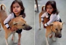 Photo of ‘ये मेरा दोस्त है…’ मां ने कुत्ते को खाना देने से किया मना, बच्ची करने लगी मिन्नतें, सुनकर पिघल जाएगा दिल!