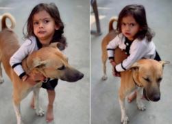 Photo of ‘ये मेरा दोस्त है…’ मां ने कुत्ते को खाना देने से किया मना, बच्ची करने लगी मिन्नतें, सुनकर पिघल जाएगा दिल!