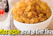 Photo of बेहतर थायरॉइड फंक्शन के लिए इस तरीके से खाएं किशमिश, दिनभर बने रहेंगे एनर्जेटिक