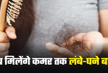 Photo of Hair fall से हैं परेशान? सुबह उठकर पिएं इस पत्ती से बना जादुई ड्रिंक