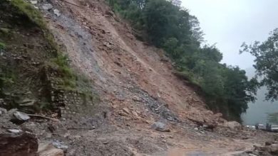 Photo of बदरीनाथ हाईवे पर फिर बाधित, उमटा के पास पहाड़ी से आया भारी मलबा
