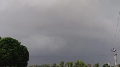 Photo of पांच जुलाई से फिर भारी बारिश का अलर्ट, बरसात से पंजाब में पारा सामान्य से नीचे आया