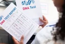 Photo of अलग दिखते थे भाई-बहन, महिला को होने लगा शक, करवाया अपना DNA टेस्ट तो खुला सालों पुराना राज!