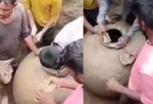 Photo of खेत में था किसान, तभी दिखा एक रहस्मयी घड़ा, खुशी से उछला, अंदर झांक देखा तो हो गया मायूस