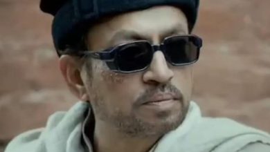 Photo of हैदर की शूटिंग के दौरान कश्मीर में एक लड़के ने तोड़ दिया था Irrfan Khan की कार का शीशा