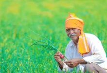 Photo of पंजाब के किसानों के लिए खुशखबरी, इस स्कीम की किश्त की जारी