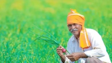 Photo of पंजाब के किसानों के लिए खुशखबरी, इस स्कीम की किश्त की जारी