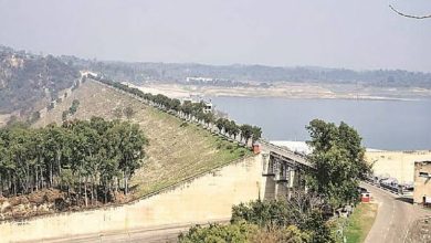 Photo of पौंग डैम में जलस्तर में वृद्धि: स्पिलवे से अतिरिक्त पानी छोड़े जाने की संभावना
