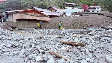Photo of उत्तराखंड में अकेले उत्तरकाशी में 70% बगीचे तबाह…