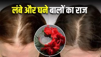 Photo of एक-दो नहीं, बालों की कई समस्याओं का इलाज है गुड़हल का तेल