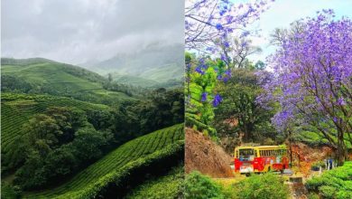 Photo of सितंबर में घूमने के लिए बेस्ट हैं साउथ इंडिया की ये 5 जगहें