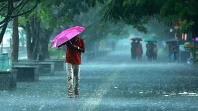 Photo of हरियाणा में लगातार 3 दिन बारिश, IMD ने जारी की चेतावनी!