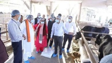 Photo of राजस्थान में पशुओं की नस्ल सुधार के लिए पहली लैब