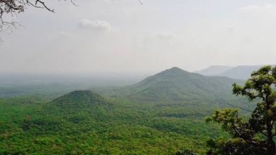 Photo of इंदौर-खंडवा रेल लाइन के लिए फिर कटेंगे एक लाख पेड़…