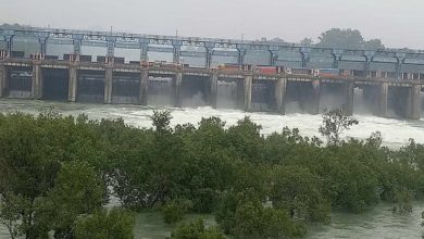 Photo of बाढ़ के बीच फिर पानी पर रार: हरियाणा ने BBMB को कम पानी छोड़ने को कहा…