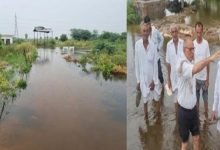 Photo of हरियाणा के इस जिले में 2500 एकड़ जमीन जलमगन,  फसल पूरी तरह तबाह…