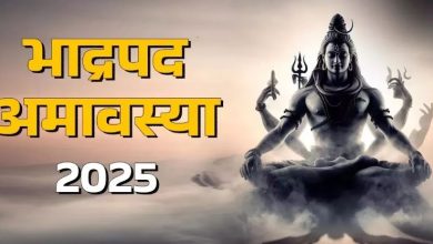 Photo of भाद्रपद अमावस्या पर करें ये काम, मिलेगी श्री हरि की कृपा