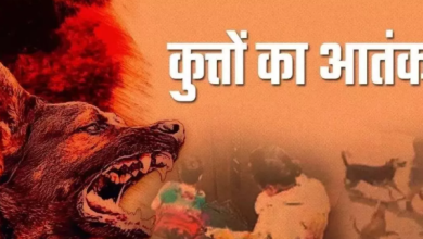 Photo of  बेंगलुरु में आवारा कुत्तों ने दो लड़कियों को काटा, कॉलेज कैंपस में हमला कर किया घायल