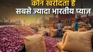 Photo of प्याज बेचकर खूब कमाता है भारत, ये हैं 10 सबसे बड़े खरीदार