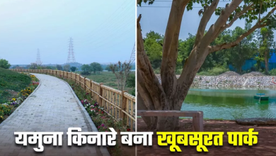 Photo of शोर-शराबे से दूर बिताने हैं सुकून के दो पल, तो दिल्ली का Baansera Park है आपके लिए बेस्ट