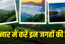 Photo of मानसून में घूमने के लिए बेस्ट है मुन्नार, इन 5 जगहों और एक्टिविटीज से बनाएं अपनी ट्रिप शानदार