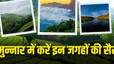 Photo of मानसून में घूमने के लिए बेस्ट है मुन्नार, इन 5 जगहों और एक्टिविटीज से बनाएं अपनी ट्रिप शानदार