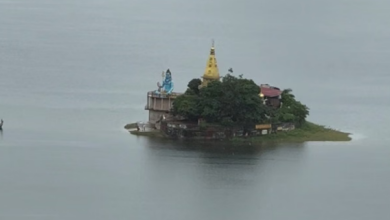 Photo of पंजाब में पानी का कहर: गांव-गांव तबाही का मंजर, घरों में छह फुट तक पानी, सामान बरबाद…